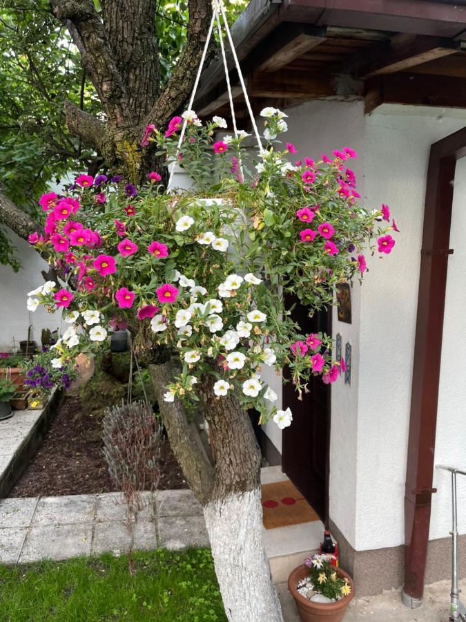 Apartments Music, Garden And Free Parking Saraievo Exterior foto